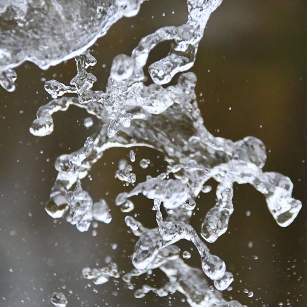 Abstract image representing flow of energy and vitality.